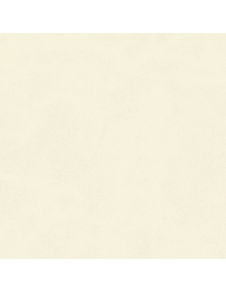 Century Calcio 60 X 60 R